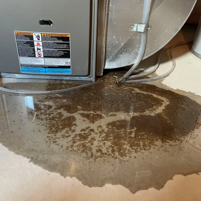 Appliance Leak Cleanup in Knox County, KY